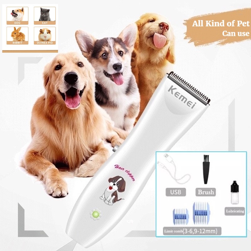 dog thermometer petsmart