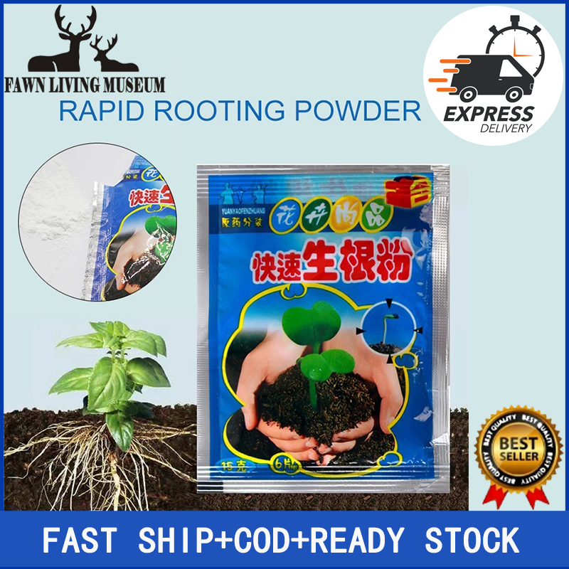 Fast Rooting Powder for Improved Plant Growth - 