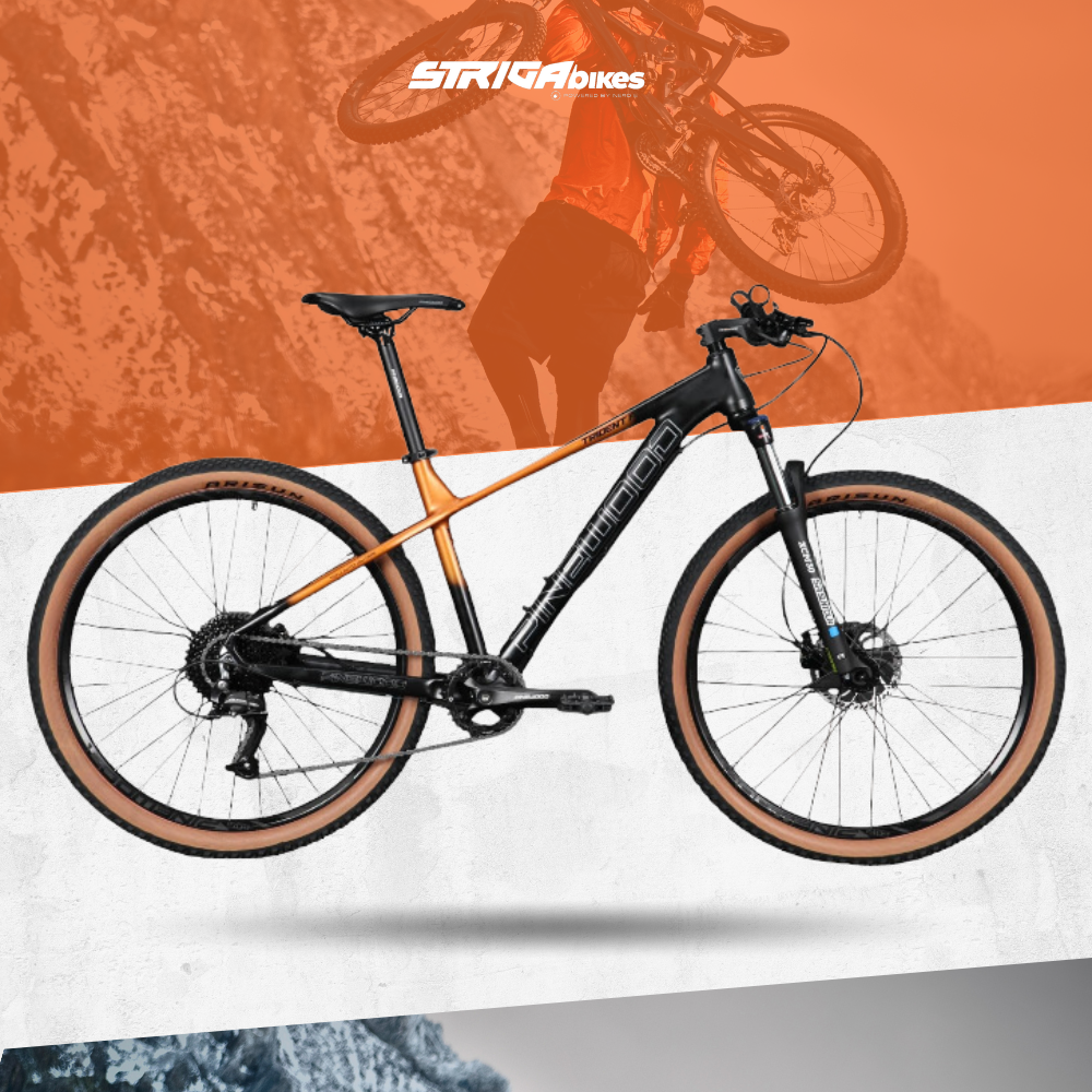 pinewood patrol 29er