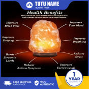 Himalayan Wellness Salt Rock Lamp