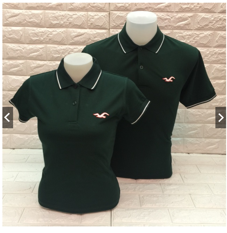 hollister couple shirts