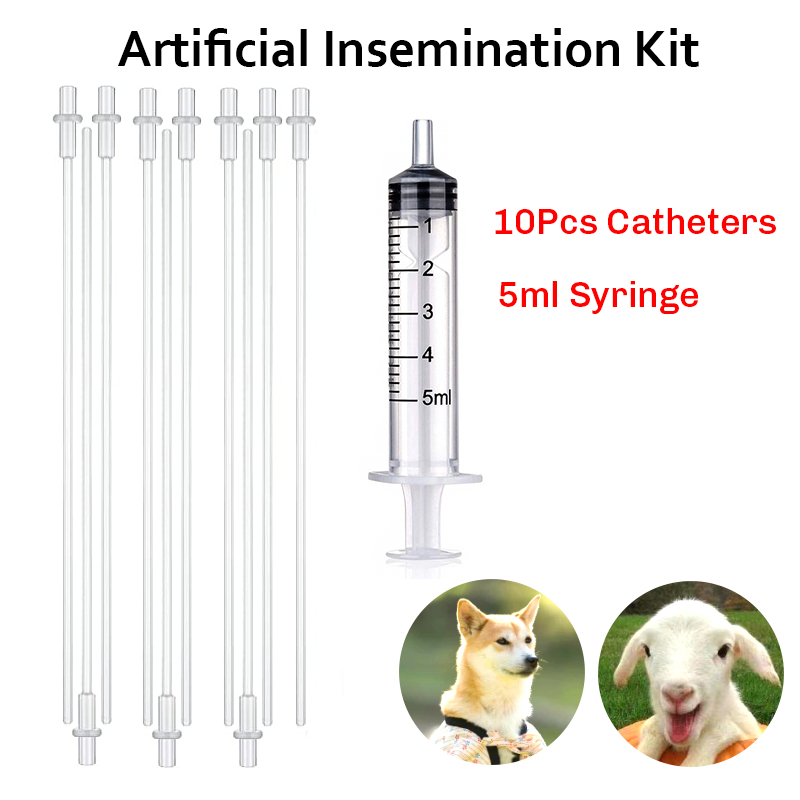 Canine insemination cheap kit