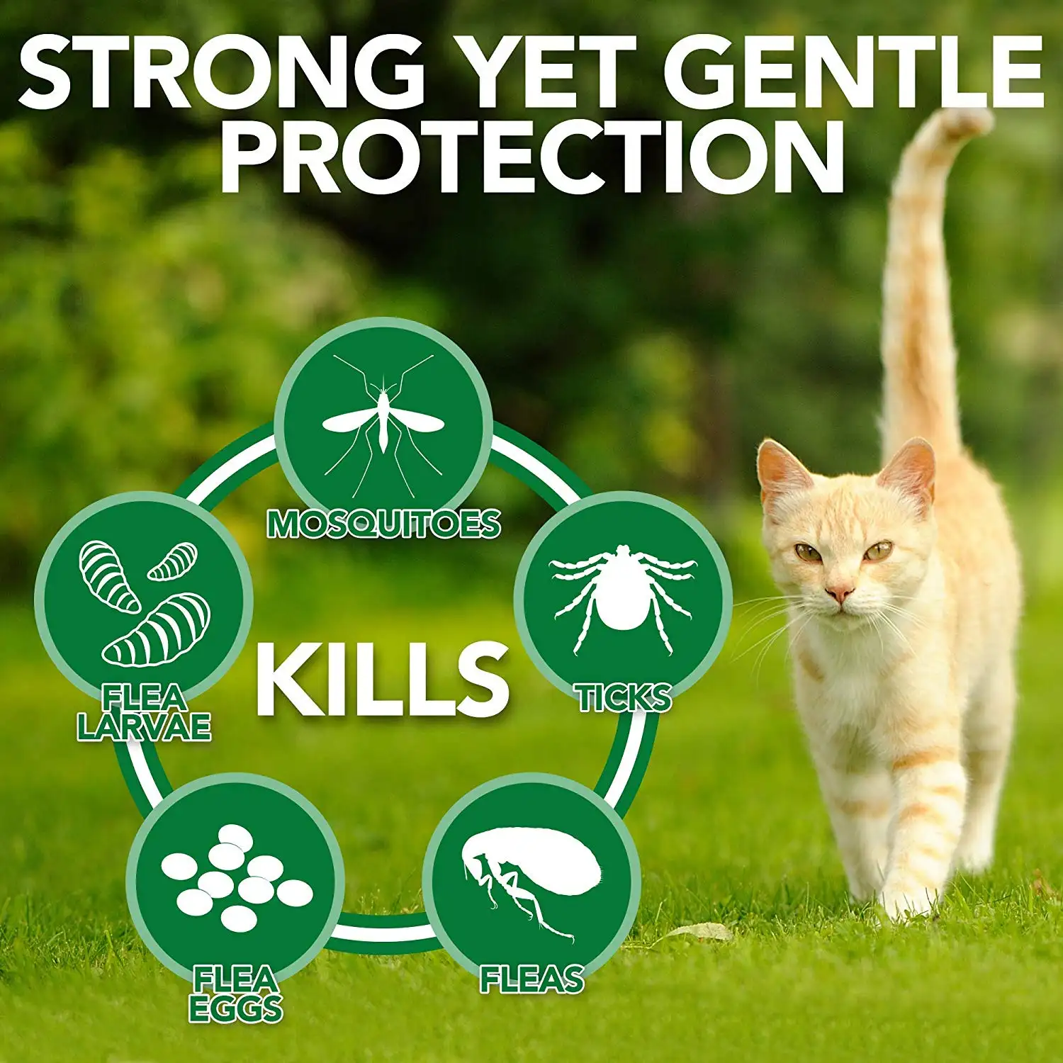 vet's best flea and tick home spray for cats