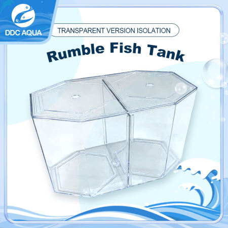 Double BettaFish Tank with Divider - BettaHex Clear Tank