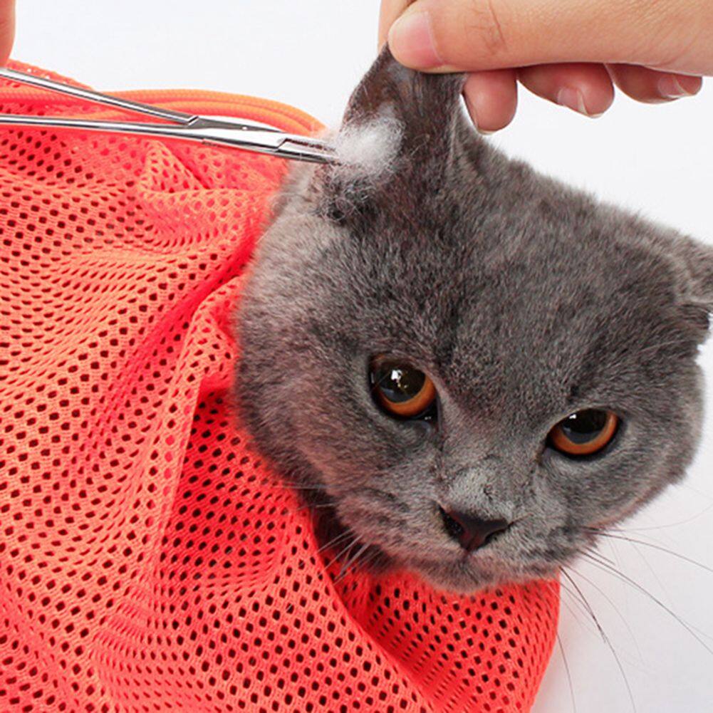 Cat grooming bag clearance petsmart