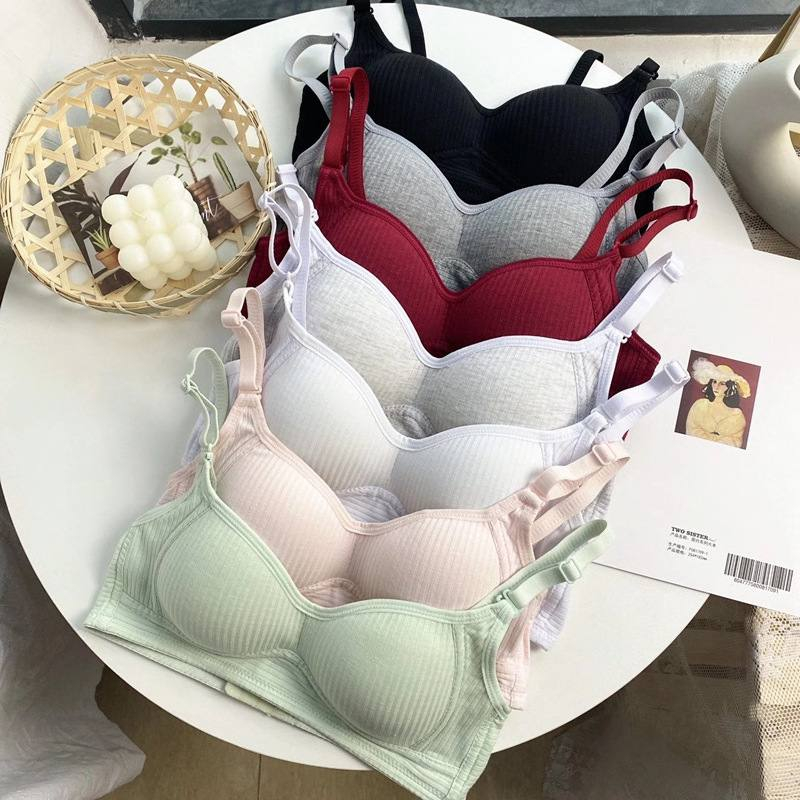 Daisycollection Everyday Cotton Snap Bra Front Button Bra Front