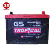 GS Tropical 65D31L  Maintenance Free Car Battery