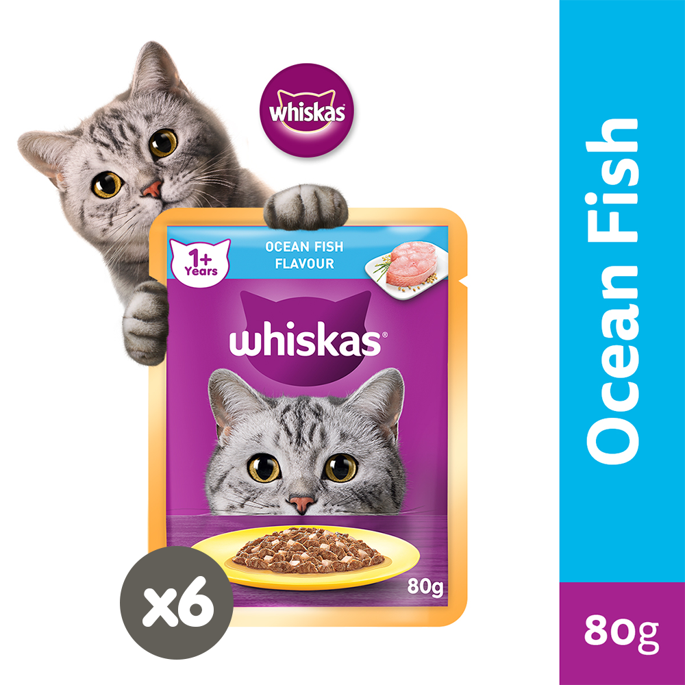 Whiskas ocean fish wet food sale