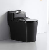 Matte Black Toilet Bowl with Soft Closing Seat Cover