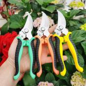 High Carbon Steel Pruning Shears - Garden Care Tools