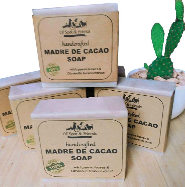 madre de cacao shampoo for humans