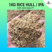 High Quality Rice Hull / Ipa