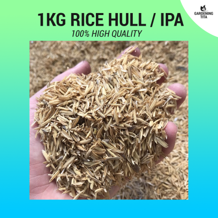 High Quality Rice Hull / Ipa