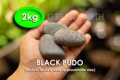 Green EARTH Black Pudo Decorative Pebbles for Landscaping and Aquascaping