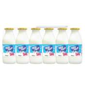Milk Man Yogurt Drink Original Flavor 100ml x 6