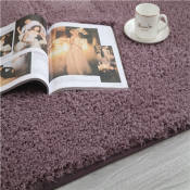 HomeYoung Arctic Fluffy Floor Rugs - Non-Slip, Soft & Furry