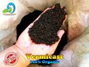 Vermicast: Boost Plant Growth for Ornamentals, Cacti, and Veggies