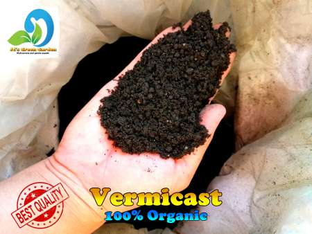 Vermicast: Boost Plant Growth for Ornamentals, Cacti, and Veggies