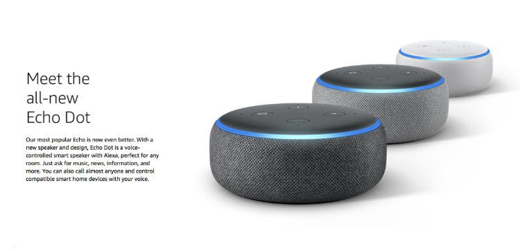 echo dot stereo output