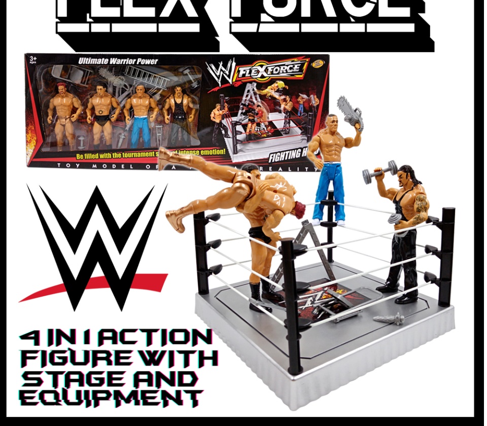 wwe wrestling ring big w