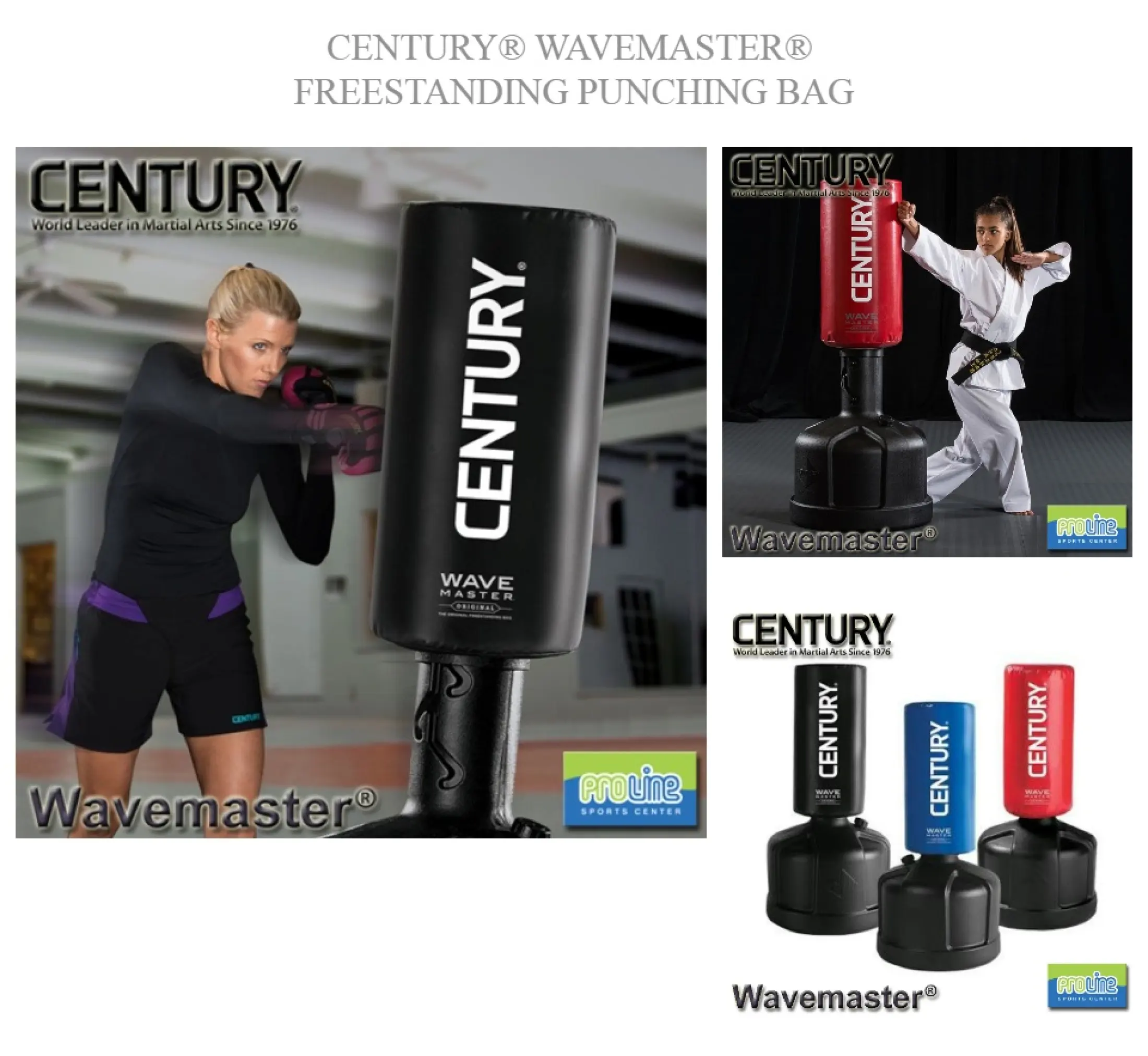 wavemaster standing punching bag