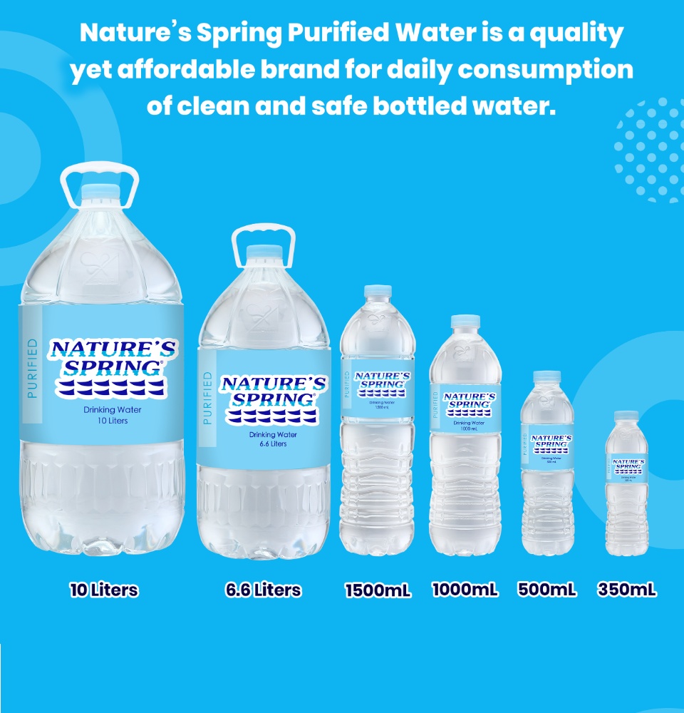 Nature's Spring Purified Water 1 Liter