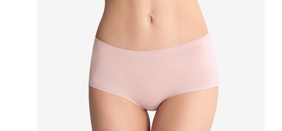 5 pcs Womens Underwear Seamless Ice Silk Soild Color Plus Size Full Coverage Ladies Panties 4