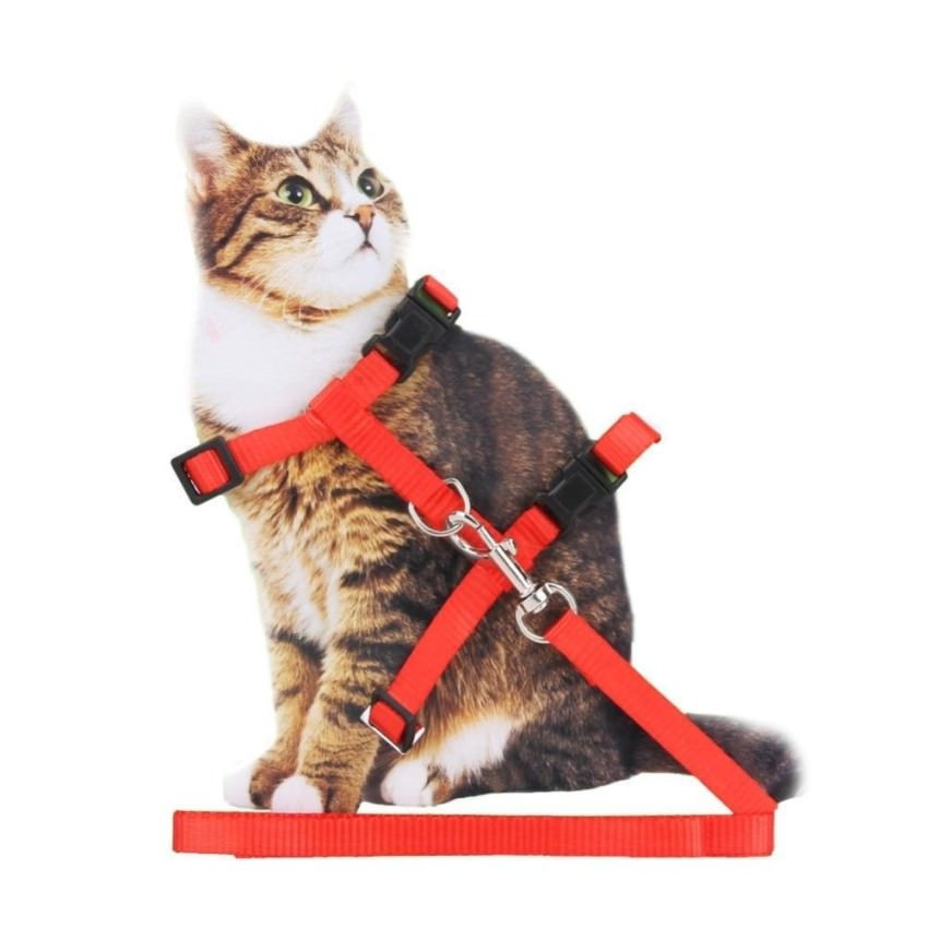 cat harness lazada