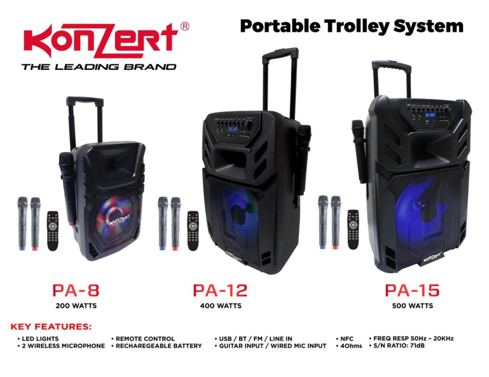 portable sound system with wireless microphone